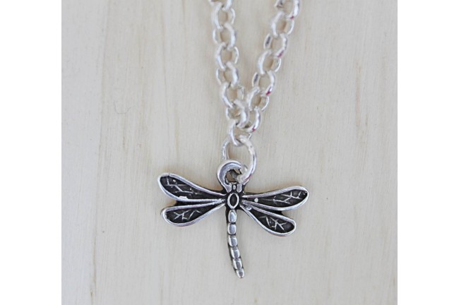 charm libélula