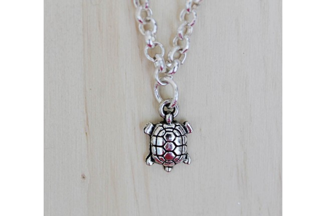 charm tortuga
