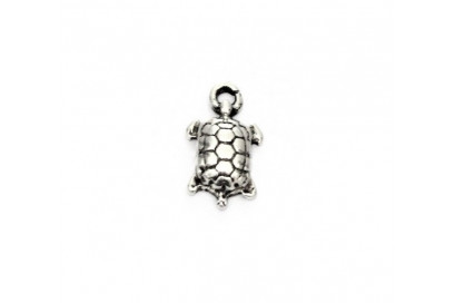 charm tortuga