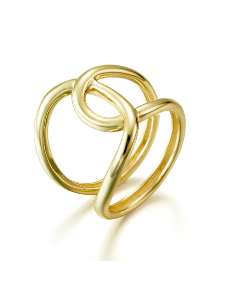 Anillo Doble