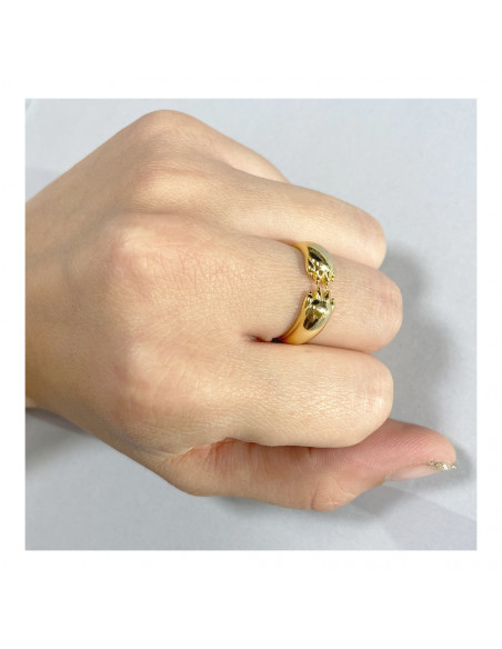 Anillo Garras