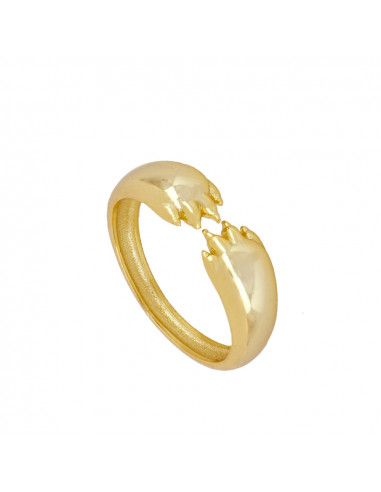 Anillo Garras