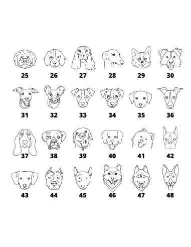 Pulsera Perritos Cuerda