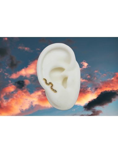 Pendientes Trepadores Serpiente