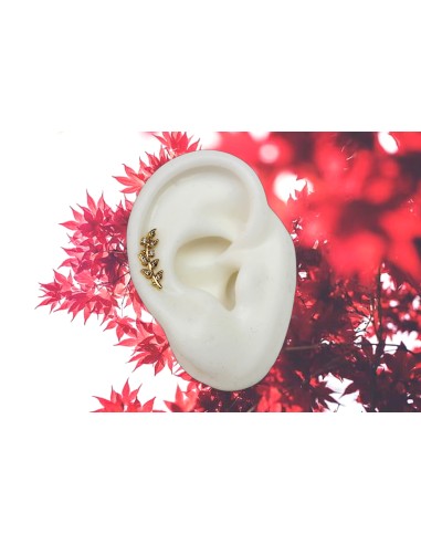 Pendientes Trepadores Hoja